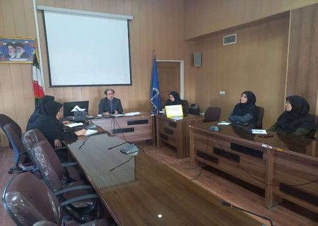دومین جلسه هشدار و پیشگیری از همه گیری آنفولانزا در شهر ملکان برگزار شد